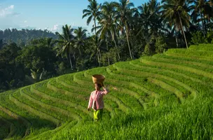 Indonesia’s Omnibus bill needs improved rights guarantees, MPs say