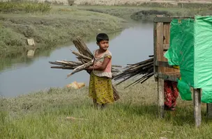 Myanmar must comply with ICJ order and end restrictions on Rohingya, MPs say