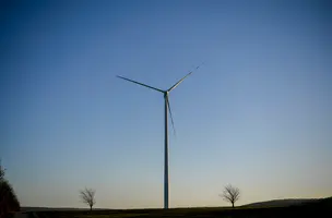 “Building Back Better”: Southeast Asia’s transition to a green economy after COVID-19