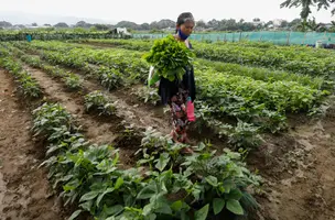 Let’s talk about the state of Filipino women amid a climate emergency