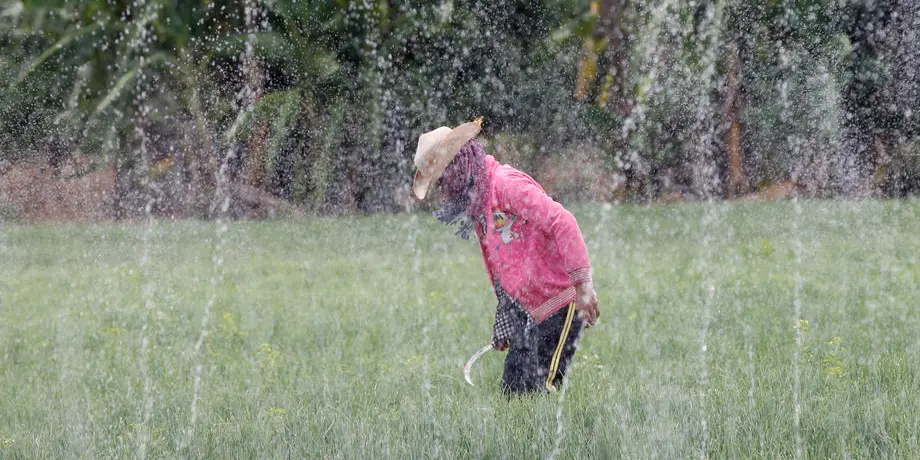 Open Letter: Supporting the Cambodian Land Grabbing case