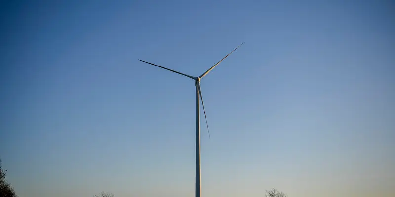 “Building Back Better”: Southeast Asia’s transition to a green economy after COVID-19