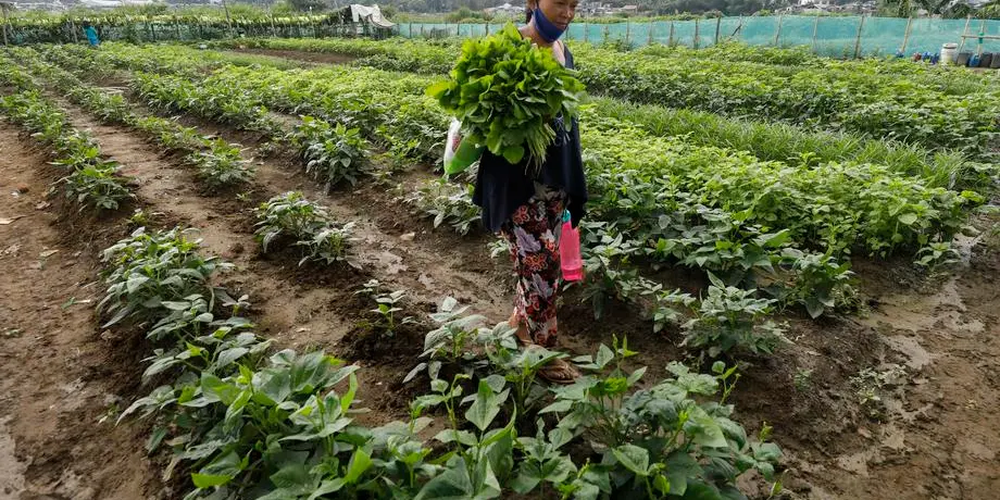 Let’s talk about the state of Filipino women amid a climate emergency