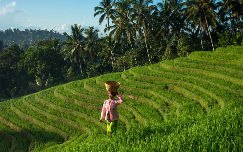 Indonesia’s Omnibus bill needs improved rights guarantees, MPs say