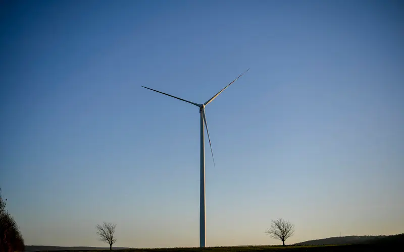 “Building Back Better”: Southeast Asia’s transition to a green economy after COVID-19