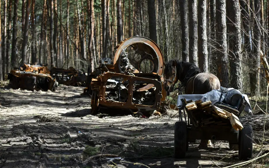 Joint Statement on environmental crimes in Ukraine