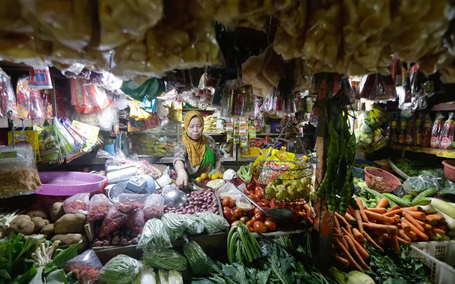 Southeast Asian MPs urge ASEAN economic ministers to immediately tackle food crisis