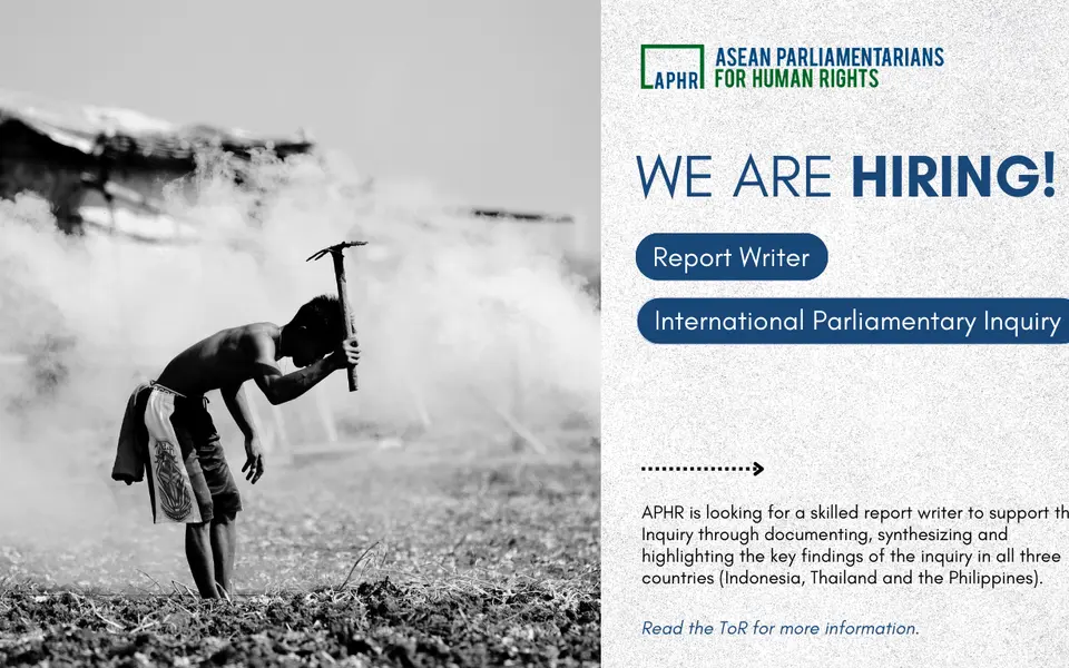 Consultancy Notice: APHR is looking for a report writer!