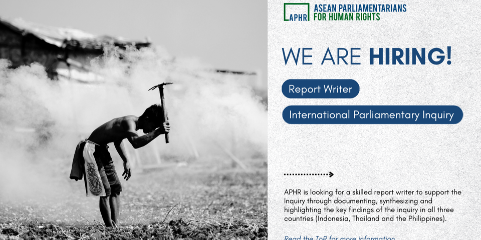 Consultancy Notice: APHR is looking for a report writer!